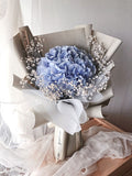 Classic Hydrangea