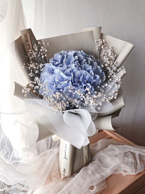 Classic Hydrangea