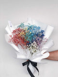 Rainbow BabyBreath